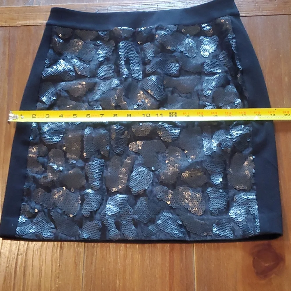 Ann Taylor Skirt - Picture 11 of 11